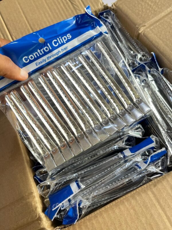 silver hair clip