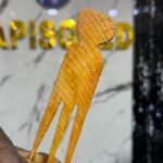 12PCS WOOD PICKER COMB